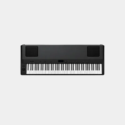 Yamaha P200 Electric Piano